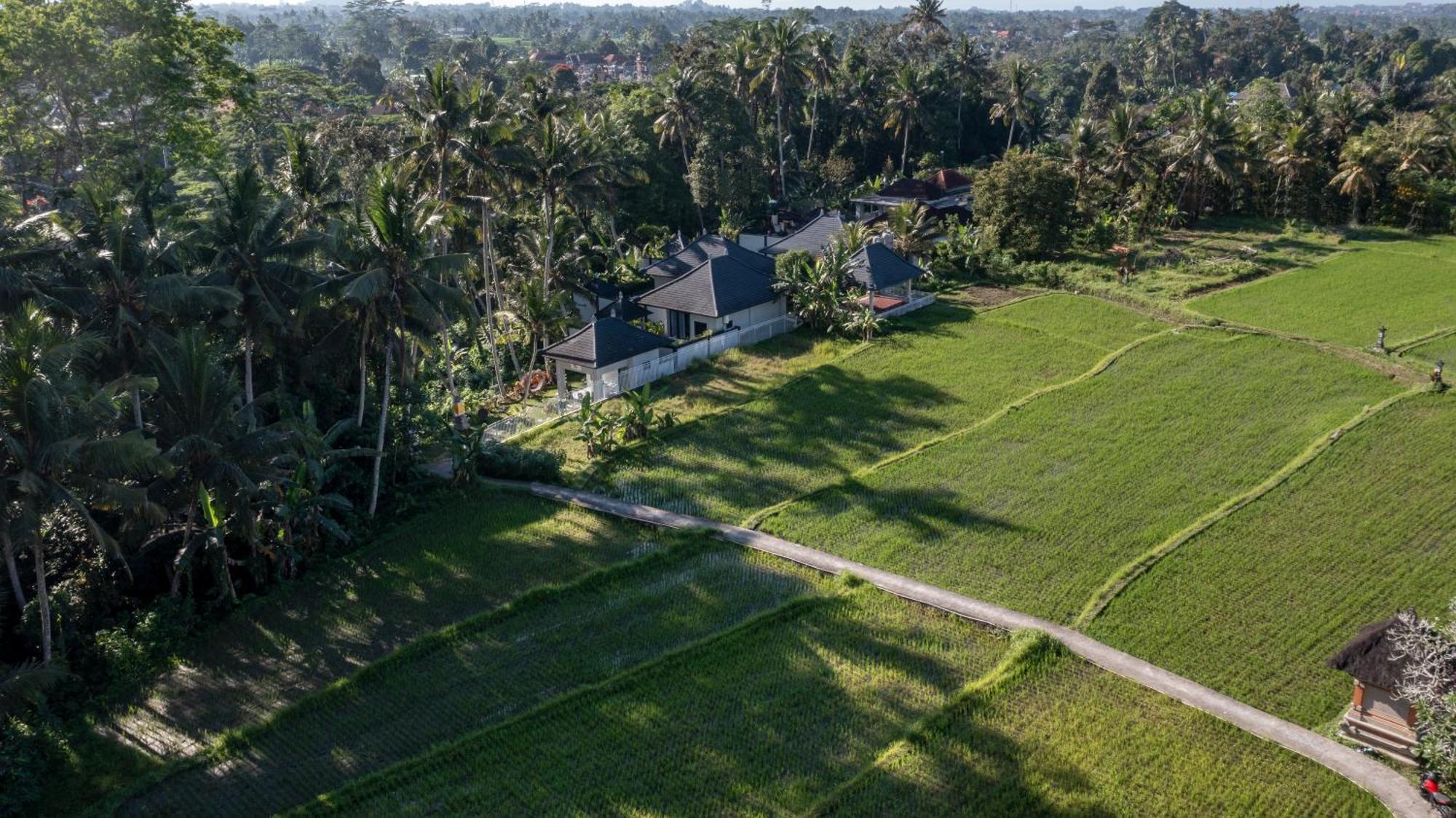Capung Asri Eco Luxury Resort With Private Pool Villas Bedulu エクステリア 写真