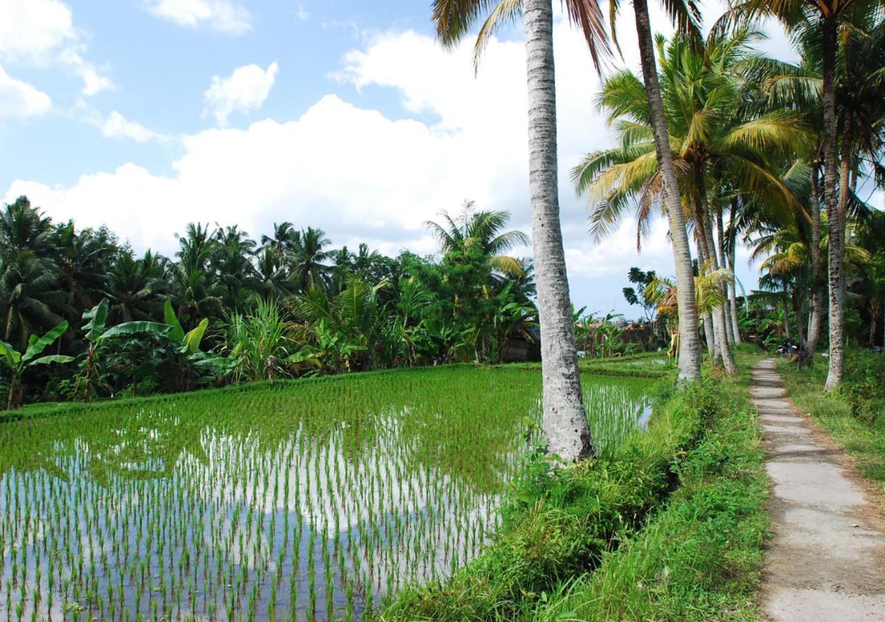 Capung Asri Eco Luxury Resort With Private Pool Villas Bedulu エクステリア 写真